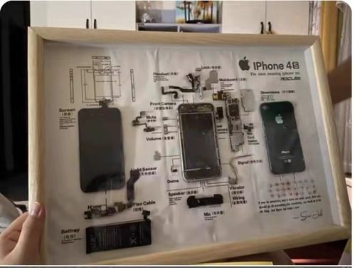 新兴职业探秘 玩偶修复师、手机入殓师和猫粮品尝师月入过万的秘密